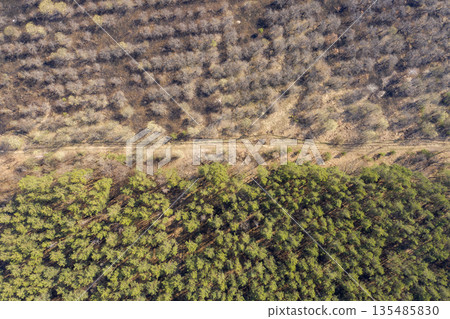 country road, view from above, aerial view country road, view from above, aerial view 135485830