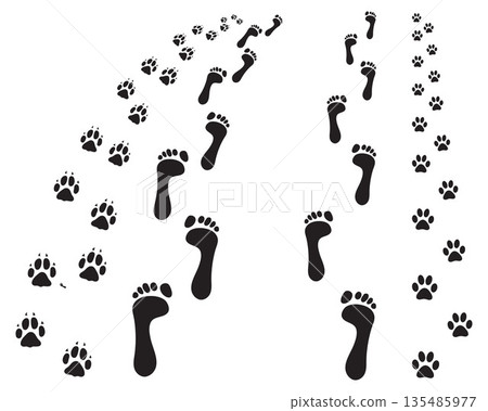 Footprints of bare feet and paws dog, turn right 135485977