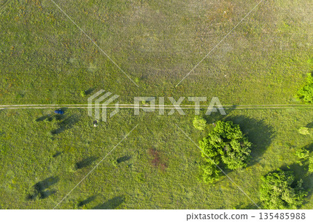 wild field, view from above wild field, view from above 135485988
