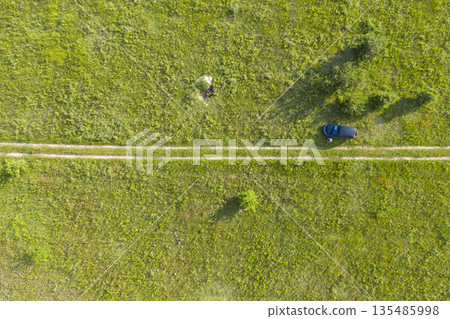 wild field, view from above 135485998