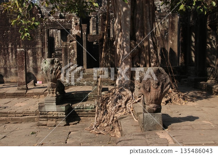 Naga Statue Naga Statue 135486043