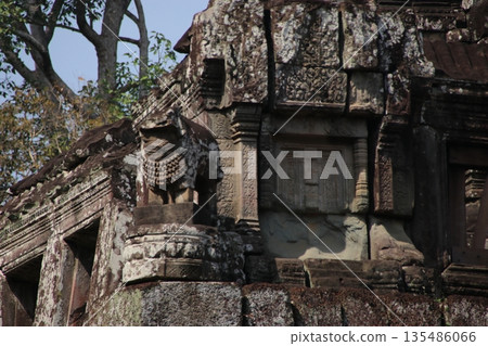 菲米亞納卡斯的辛哈 135486066