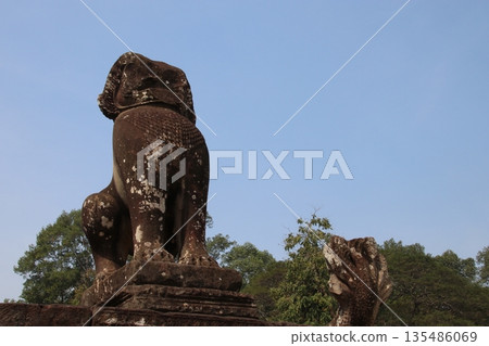 Singha and Naga statues on the Terrace of the Elephants 135486069
