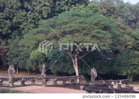 吳哥窟 135486096