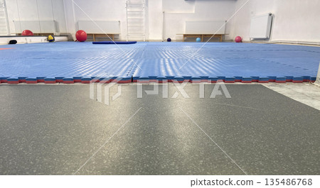 empty gym for the fitness classes 135486768