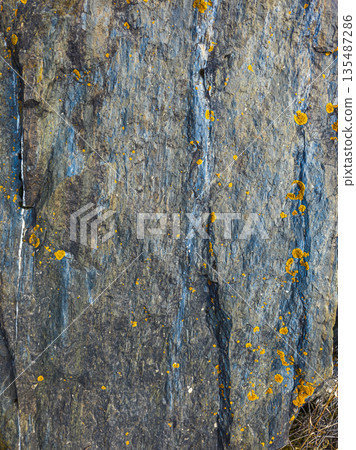 Rugged dark gray and blue sedimentary rock with yellow lichen outdoors Rugged dark gray and blue sedimentary rock with yellow lichen outdoors 135487286