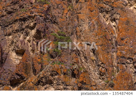 Rugged rock face with plants in mountainous region 135487404