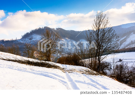 winter landscape with snow covered forested hills. carpathian mountains in cold weather under blue sky. rural scene on a sunny day. background for christmas holidays in alpine region of ukraine 135487408