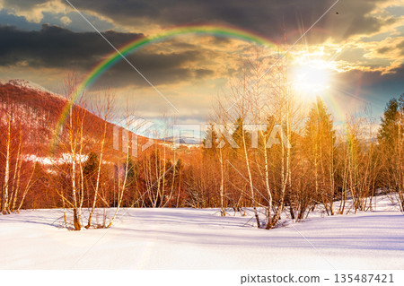 winter landscape at sunset. deciduous forest on snow covered hill in evening light. scenic scenery of natural park under blue sky for travel background. storytelling cinematic image under the rainbow 135487421