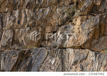 Textured rock formation with small plants in mountainous region 135487492