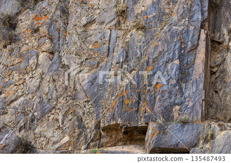 Rugged rock face with lichen in mountainous region of Kyrgyzstan 135487493