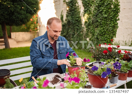 Gardener tending to vibrant flowers in a sunny backyard Gardener tending to vibrant flowers in a sunny backyard 135487497