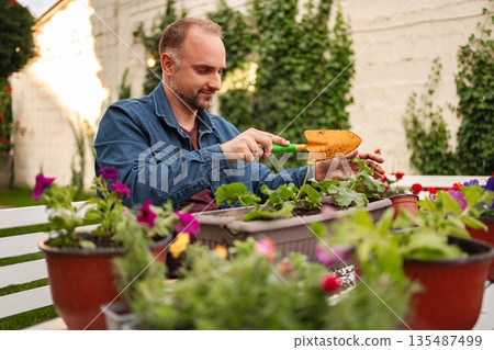 Gardening joy in the afternoon sun with blooming flowers 135487499
