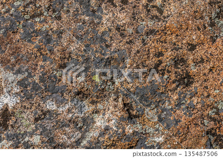 Rough textured rock covered with lichen in nature Rough textured rock covered with lichen in nature 135487506