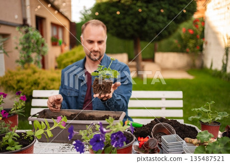 Gardening joy in a vibrant backyard on a sunny day Gardening joy in a vibrant backyard on a sunny day 135487521