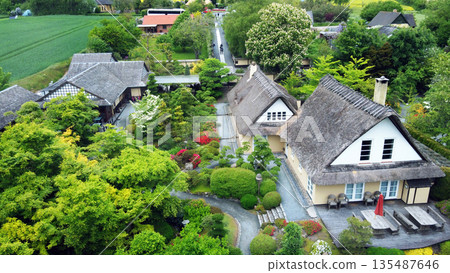 Aerial view on topiary: pruned plants and houses in Japanese style in distance in Japanese  garden 135487646
