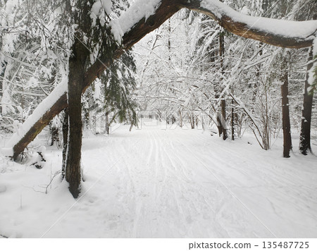 Large snow (in December 2021) in Moscow from 1989 year (32 years ago) Large snow (in December 2021) in Moscow from 1989 year (32 years ago) 135487725