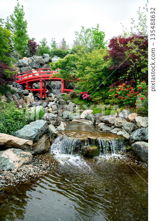 Red bridge ; water fall behind and stream and azalea blossoms 135488632