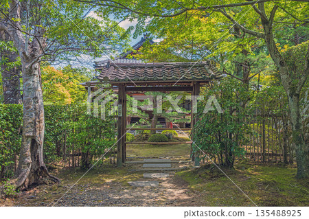 Shuonan Ikkyuji Temple Cemetery, Kyoto Shuonan Ikkyuji Temple Cemetery, Kyoto 135488925