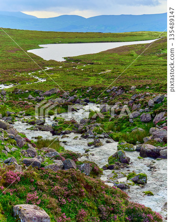 A small river is surrounded by rocks, green grass, and pink flowers. Distant mountains and a calm, flat lake are visible in the National Park. A small river is surrounded by rocks, green grass, and pink flowers. Distant mountains and a calm, flat lake are visible in the National Park. 135489147