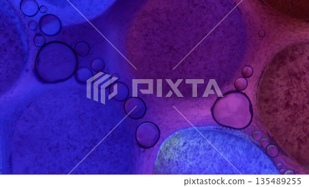 Oil bubbles floating in colored water - Macro. Oil bubbles floating in colored water - Macro. 135489255