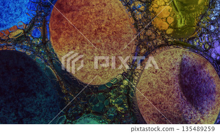 A colorful background with many small drops of water. 135489259