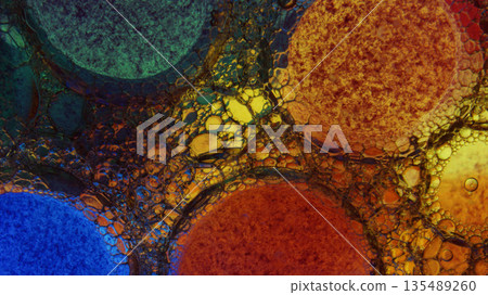 A colorful background with many small drops of water. A colorful background with many small drops of water. 135489260