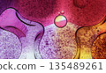 A colorful background with many small drops of water. 135489261