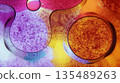 abstract background with bubbles, Vibrant Abstract Oil and Water Bubbles with Gradient Colors Background image. 135489263