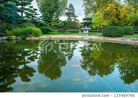 Topiary pine trees  in the Japanese garden at Park Nord in Dusseldorf 135489766
