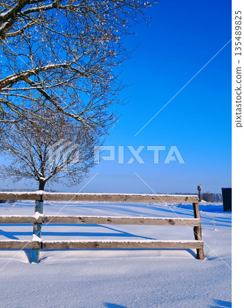 Snow Covered Wooden Fence Rural Winter. Rustic wooden fence covered in fresh snow with bare tree and distant snowy fields under bright blue sky. Cozy winter countryside scene and rural charm. 135489825
