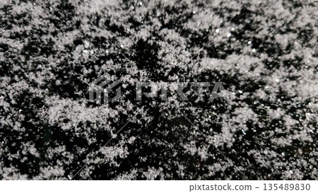 Snow Texture on Asphalt. Close-up of fresh wet snow on dark asphalt. Winter texture and weather background. 135489830