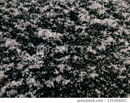 Snow Texture on Asphalt. Close-up of fresh wet snow on dark asphalt. Winter texture and weather background. 135489831