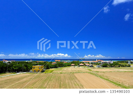 沖繩島東鳴島,港口周邊景色 沖繩島東鳴島,港口周邊景色 135490103