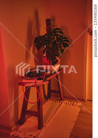 Still life with monstera plant and vintage camera in red light 135490169
