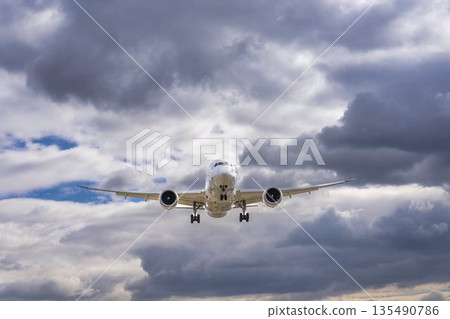 冬季大阪機場（伊丹機場）降落飛機，大阪府豐中市 135490786