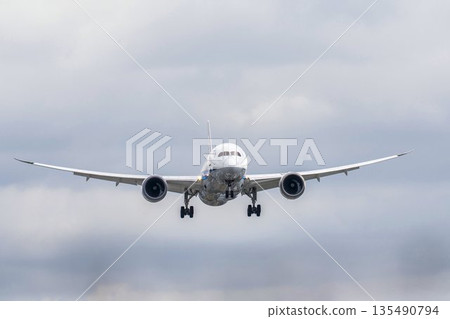 冬季大阪機場（伊丹機場）降落飛機，大阪府豐中市 135490794