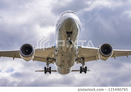 冬季大阪機場（伊丹機場）降落飛機，大阪府豐中市 135490795