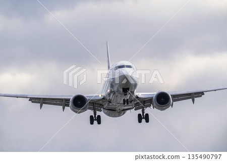 冬季大阪機場（伊丹機場）降落飛機，大阪府豐中市 135490797