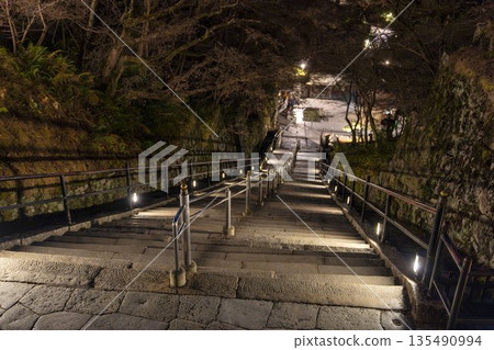 京都府京都市清水寺音羽山冬季景色,從正殿通往音羽瀑布的階梯 京都府京都市清水寺音羽山冬季景色,從正殿通往音羽瀑布的階梯 135490994