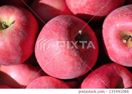 San Fuji apples harvested in Nagano Prefecture (Nagano Prefecture) San Fuji apples harvested in Nagano Prefecture (Nagano Prefecture) 135491066