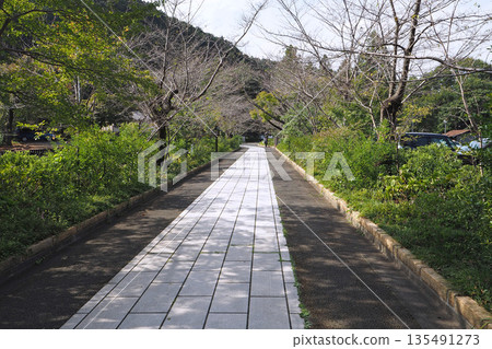 Approach to Koma Shrine (Hidaka City, Saitama Prefecture) 135491273