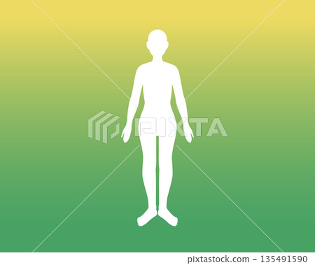 漸層人體插圖（女性，綠色） 135491590