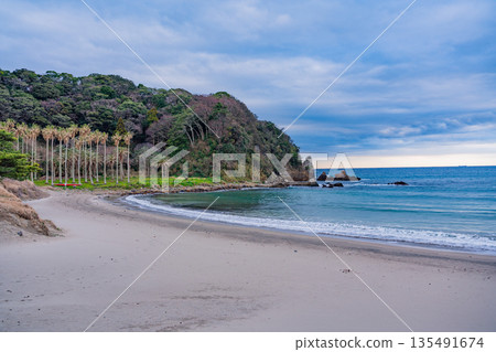 (Shizuoka Prefecture) Early spring, early morning at Minamiizu Yumigahama (Shizuoka Prefecture) Early spring, early morning at Minamiizu Yumigahama 135491674