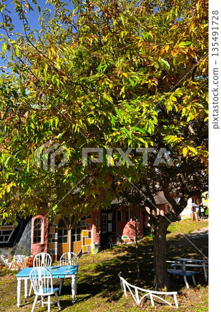 Gingerbread house and autumn leaves (Nagano City, Nagano Prefecture) Gingerbread house and autumn leaves (Nagano City, Nagano Prefecture) 135491728