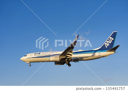 傍晚的大阪機場(伊丹機場)。一架飛機正在降落。大阪府豐中市。 傍晚的大阪機場(伊丹機場)。一架飛機正在降落。大阪府豐中市。 135491757