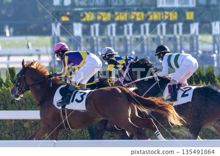 賽馬場景色：駿馬奔跑，京都府京都市 135491864