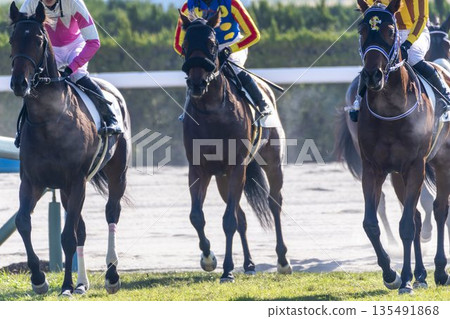 賽馬場景色：賽後馬匹，京都府京都市 135491868