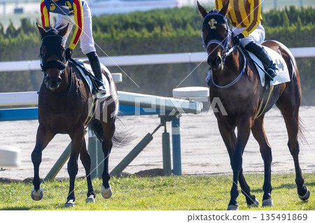 賽馬場景色：賽後馬匹，京都府京都市 135491869