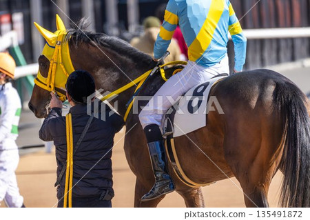 賽馬場景色：賽後馬匹，京都府京都市 135491872